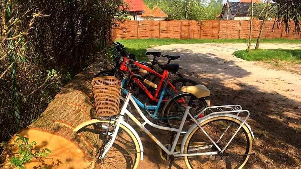 Miodowy Zakatek Caloroczne Domki I Pokoje Przy Suntago, Deepspot, Pyszne Sniadania, Grill, Ognisko Mszczonow Bagian luar foto