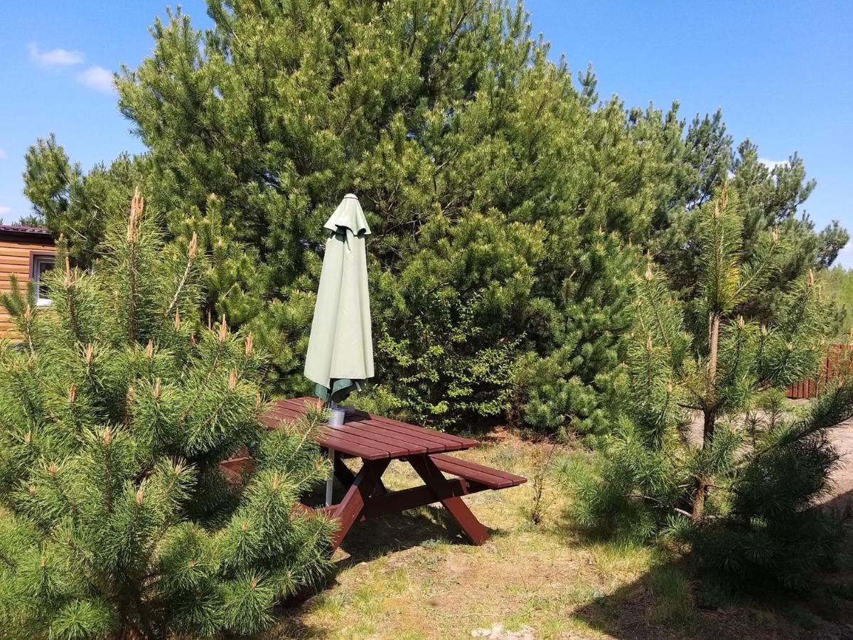 Miodowy Zakatek Caloroczne Domki I Pokoje Przy Suntago, Deepspot, Pyszne Sniadania, Grill, Ognisko Mszczonow Bagian luar foto