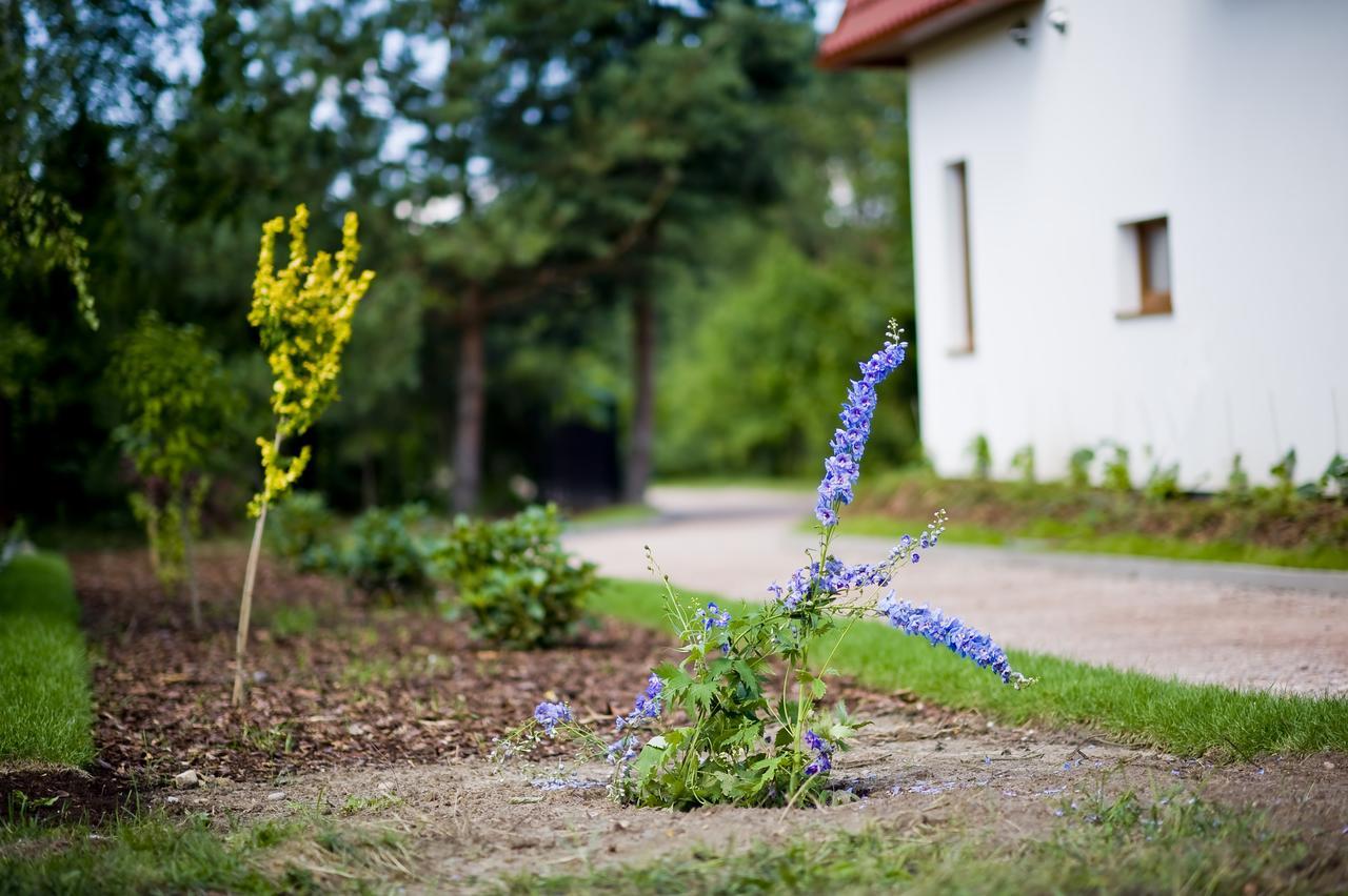 Miodowy Zakatek Caloroczne Domki I Pokoje Przy Suntago, Deepspot, Pyszne Sniadania, Grill, Ognisko Mszczonow Bagian luar foto