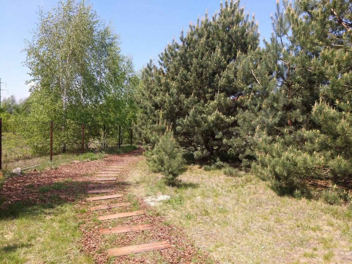 Miodowy Zakatek Caloroczne Domki I Pokoje Przy Suntago, Deepspot, Pyszne Sniadania, Grill, Ognisko Mszczonow Bagian luar foto